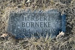 Herbert Borneke 