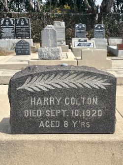 Harry Colton 