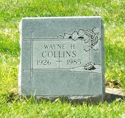 Wayne Harvey Collins 