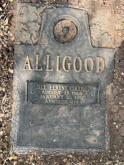 Jill Elaine <I>Alligood</I> Collins 