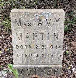 Mrs Amy Martin 