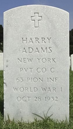 Harry Adams 