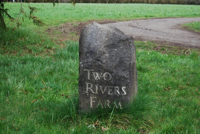 Annie Lou Staveley Grave