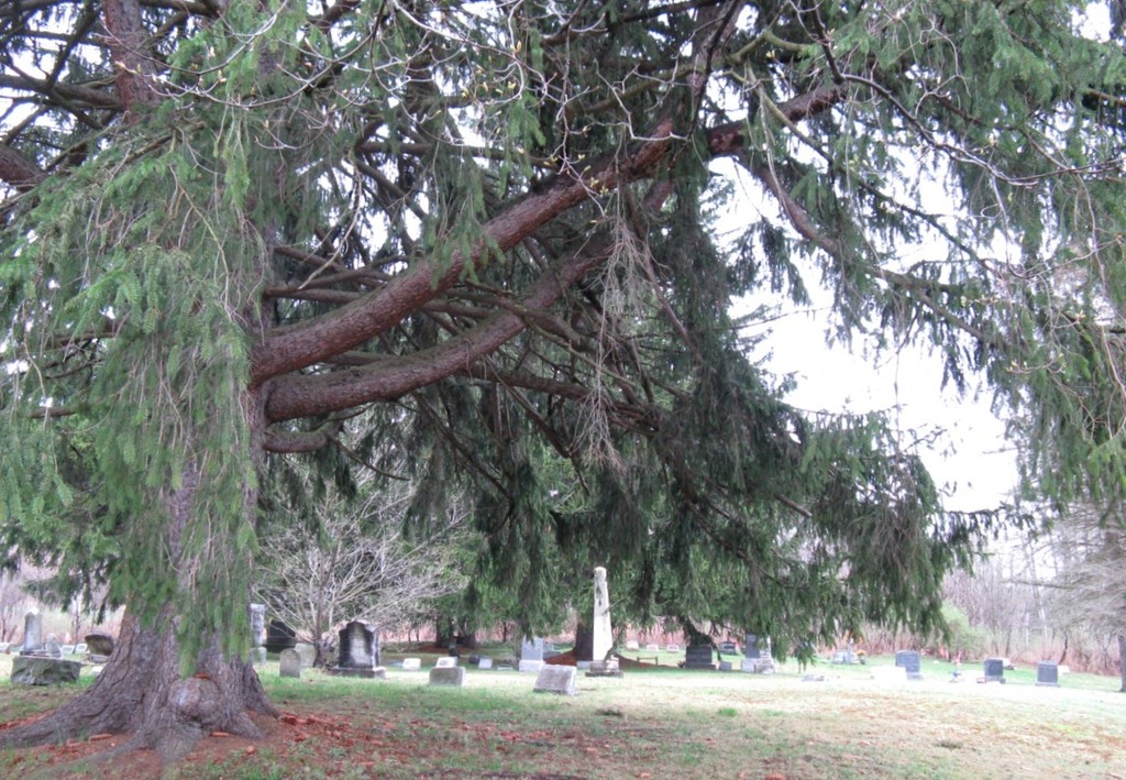 Ischua Villiage Cemetery