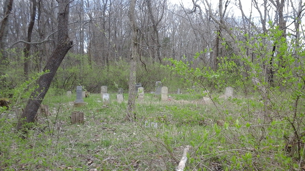 Collins Family Cemetery