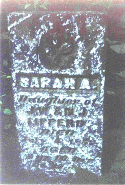  Sarah A. Lipperd