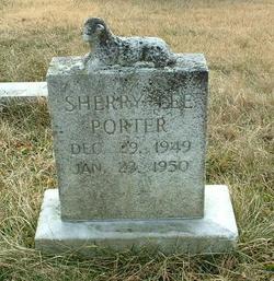  Sherry Lee Porter