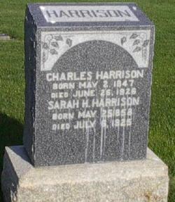 Sarah Harriett Worvill Harrison (1858-1925)