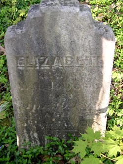 Elizabeth Cleveland Johnson (1825-1861)