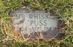  Mr Whiskers “Puss” Hinton