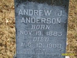  Andrew J. Anderson