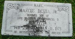  Marcus Desha Swayze Jr.