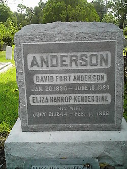 Dr David Fort Anderson