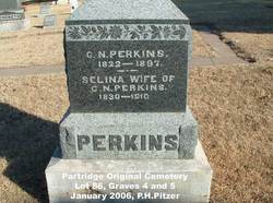  Selina Perkins