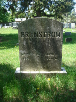  David L. Brunstrom