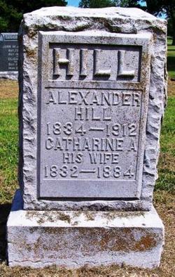  Alexander Hill
