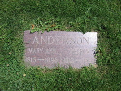  Andrew Anderson