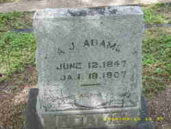  Andrew Jackson Adams