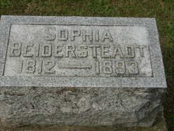  Sophia Biedersteadt