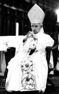 Cardinal Augusto Vargas Alzamora