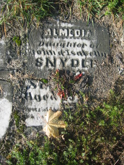  Almedia Snyder