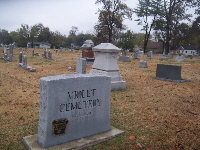 Violet Cemetery