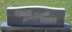  Henry Marvin Stevens