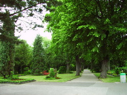Friedhof Feudenheim