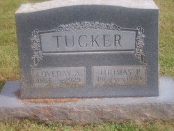  Thomas P Tucker