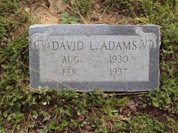  David Lee Adams