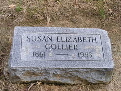 Dr Susan Elizabeth Collier