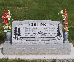 Barbara Jean <I>Stevens</I> Collins