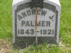  Andrew J Palmer