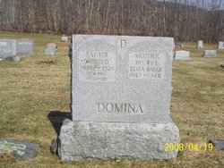  Darius D. Domina