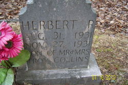  Herbert Robert Collins
