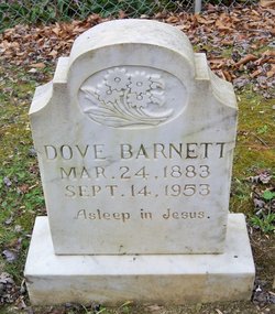  Dove Barnett