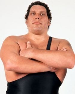  André “The Giant” Roussimoff
