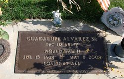  Guadalupe G Alvarez