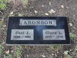  Carl J Aronson