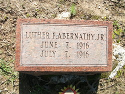  Luther Fisher Abernathy Jr.