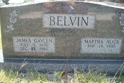  James Gaylen Belvin