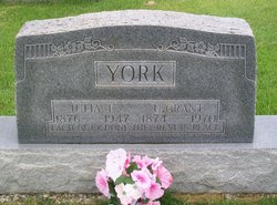  Ulysses Grant York