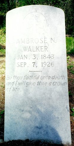  Ambrose Newton Walker