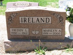  Freddy Lee Ireland