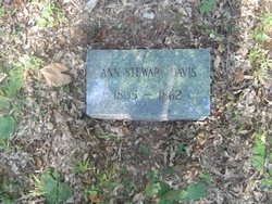  Ann Stewart Davis