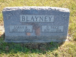  David Price Blayney