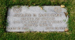 Image result for sarnoski medal of honor