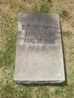  David Moll Jr.