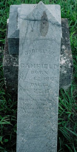  Cardelia <I>Arendell</I> Camfield