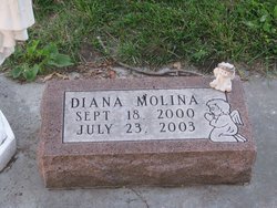  Diana N. Molina